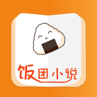 饭团小说直装版