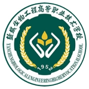 数智盐生