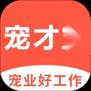 宠才宝通用版