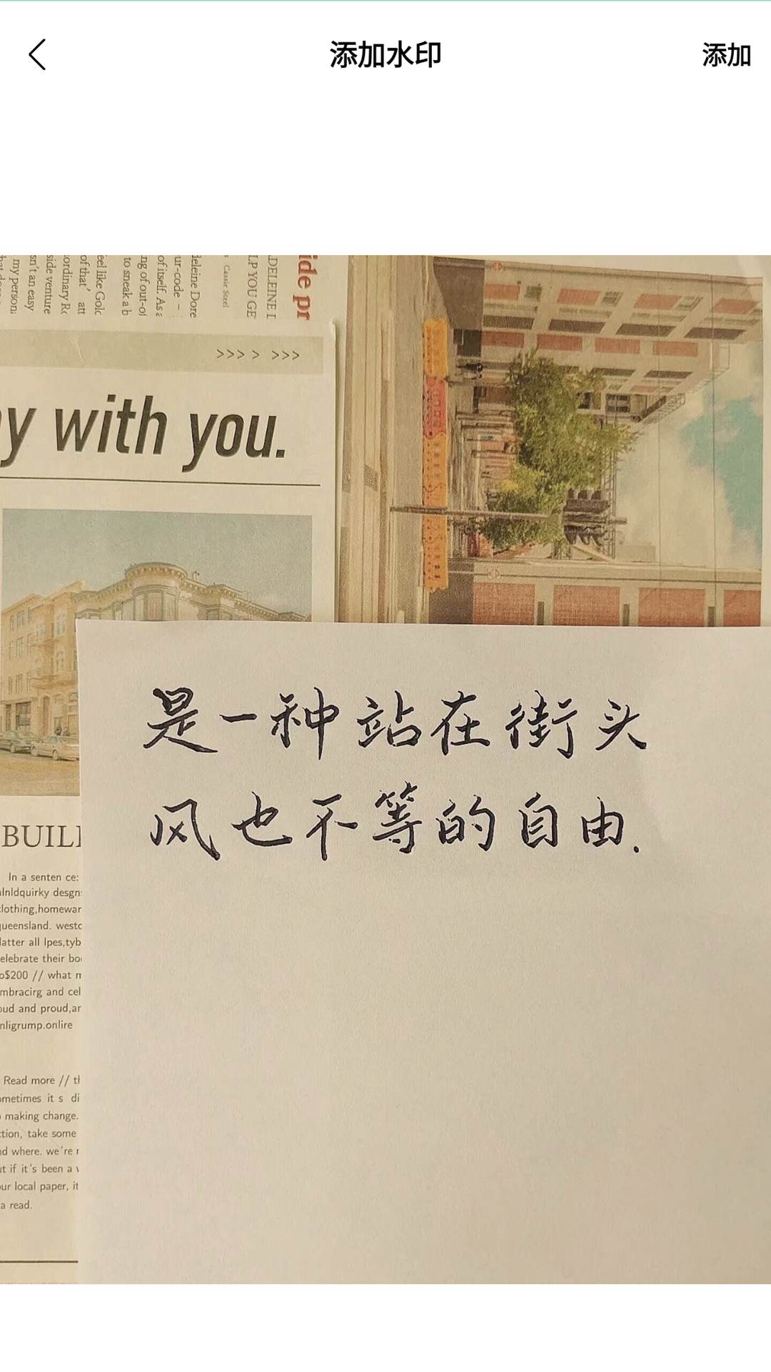 色虎视频手机正版图3