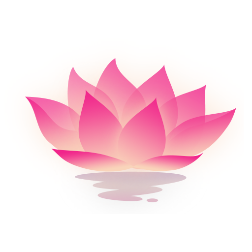 荷花工具箱最新免费版