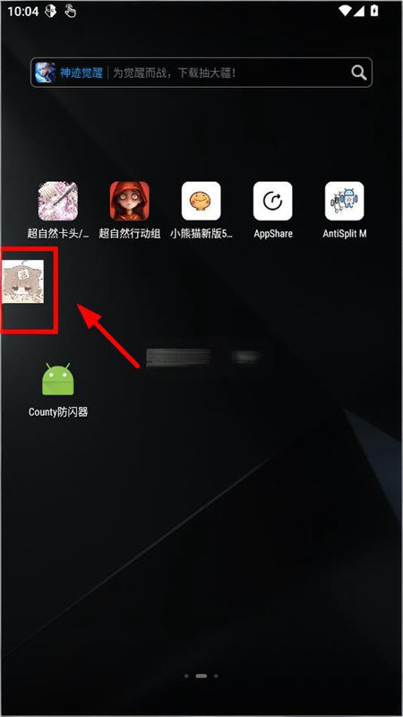 County防闪器图1