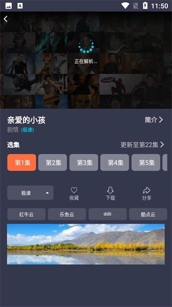 鲨鱼影视手机版图3