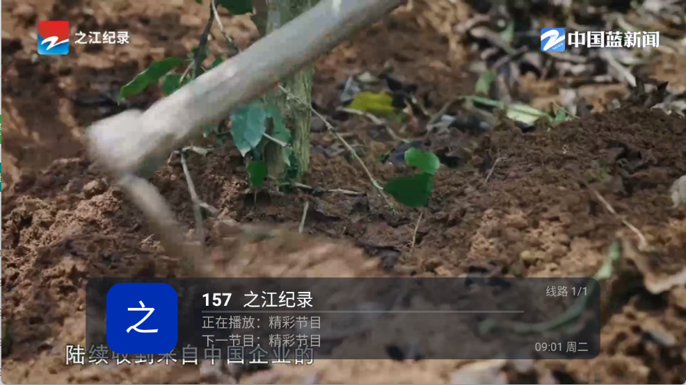 云光TV图4