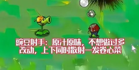 植物大战僵尸风韵版图4