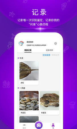 问鱼正版图4