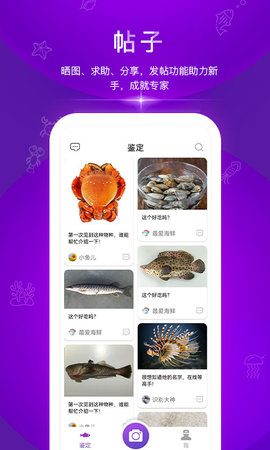 问鱼正版图3