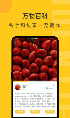 拍照识物图4