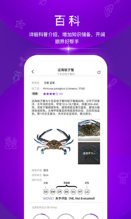 问鱼正版图2