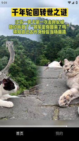 千千短剧手机最新版图3