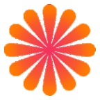 菊花影视