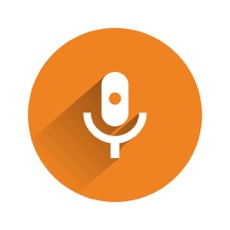 实时变声器安卓免费版