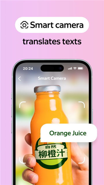 俄罗斯搜索引擎原版图4