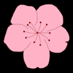 桃花视频手机正版