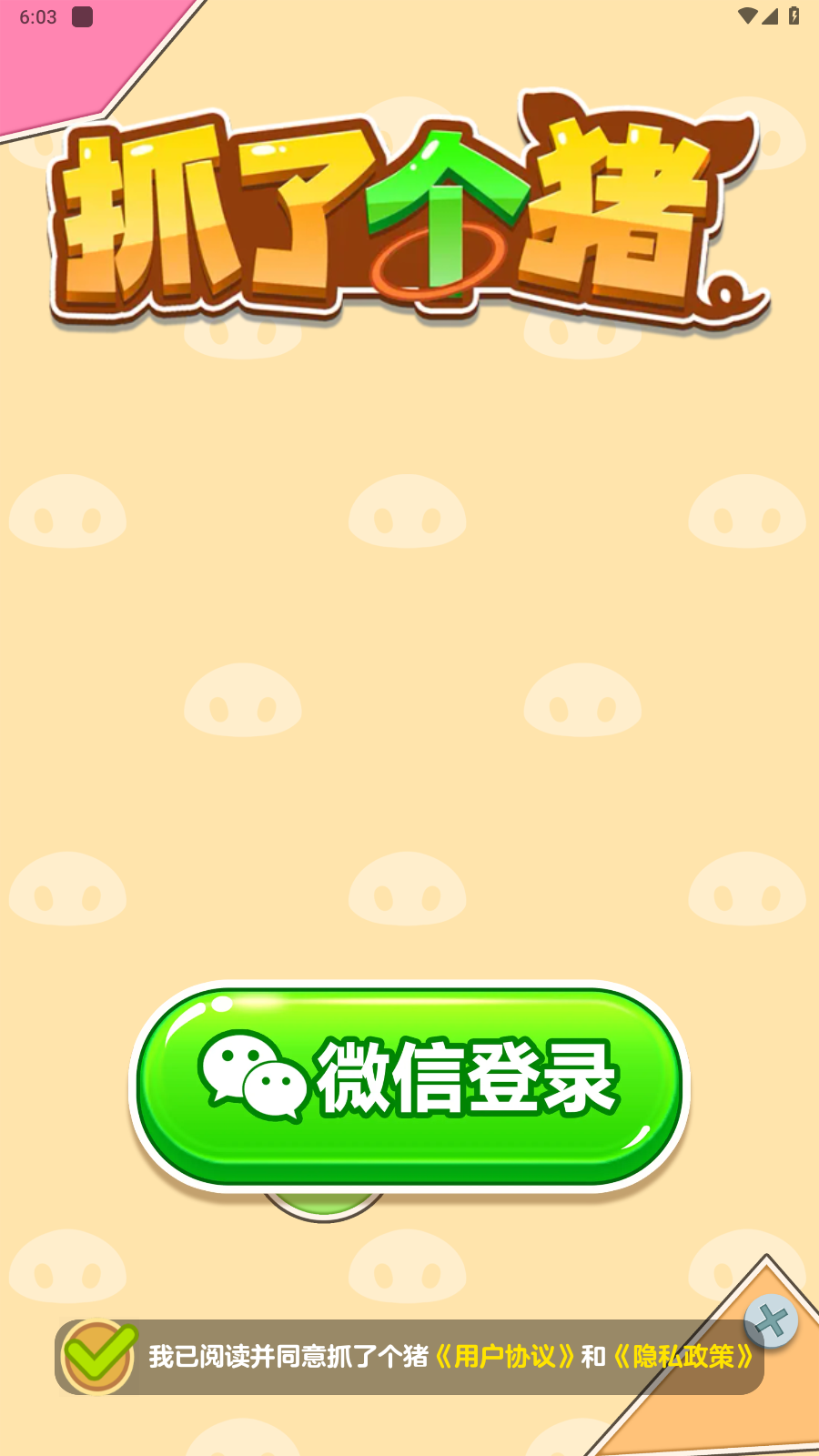 抓了个猪图1