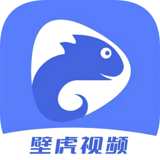 壁虎视频直装版