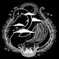 天鹅影视免费原版