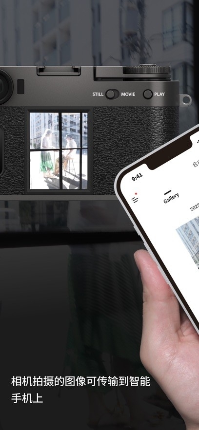 Xhalf正版图3