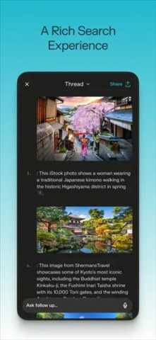 Perplexity正版图4