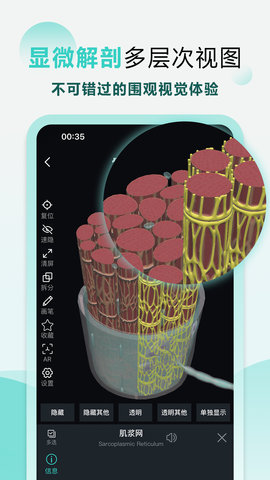 掌上3D解剖原版图3