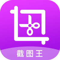 截图王正版