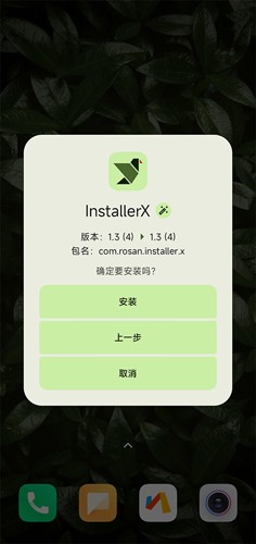 InstallerX最新免费版图2