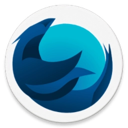 iceraven浏览器手机免费版
