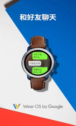 WearOSbyGoogle无广告版图5