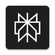 Perplexity正版
