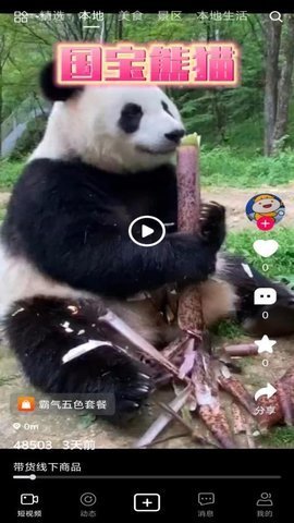 速影安卓版图2