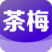 茶梅小说原版