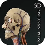 掌上3D解剖原版
