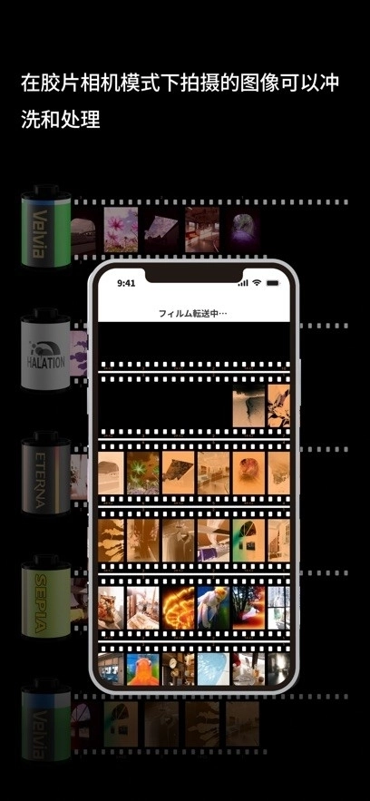 Xhalf正版图2