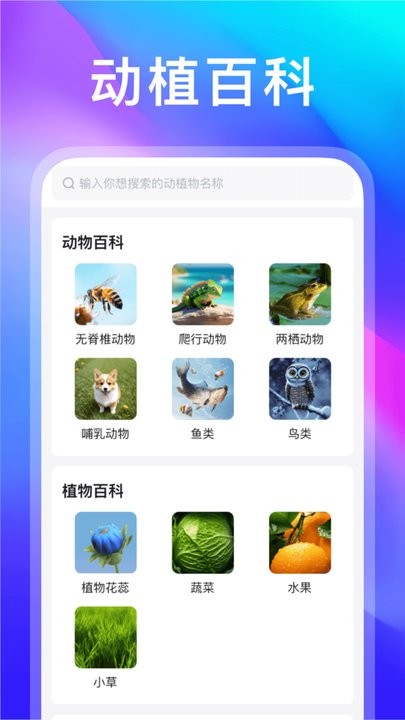 动物世界无广告版图2