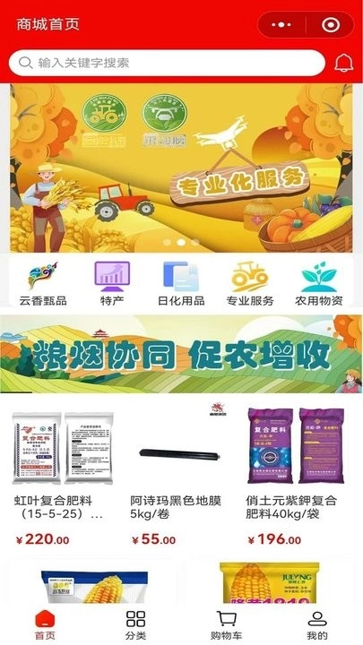 云香印象无广告版图1