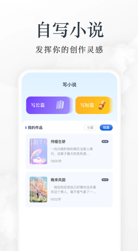 蓝狐盒子图2