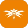 羽悦本草