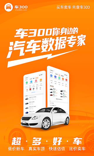 车300手机版图2