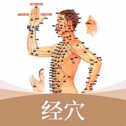 经络穴位标准指南安卓直装版
