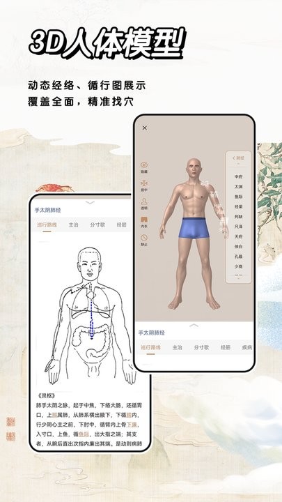 经络穴位标准指南安卓直装版图1