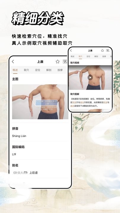 经络穴位标准指南安卓直装版图2