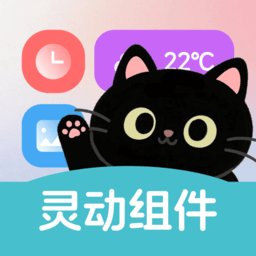灵动皮肤小组件免费版