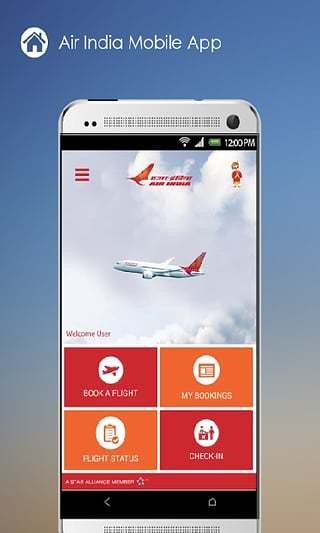AirIndia正版图3