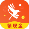 青鸟快讯