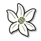 azaharplus模拟器最新免费版