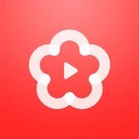 梅花视频最新版