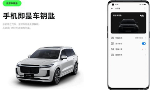iccoacarlink图4