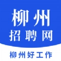 柳州招聘网手机正版