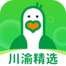 小鸽买菜直装版
