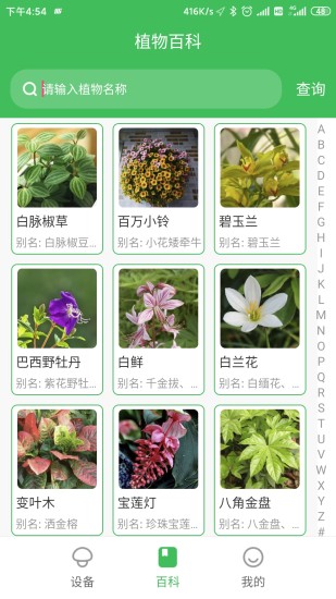 森林甜心安卓直装版图2